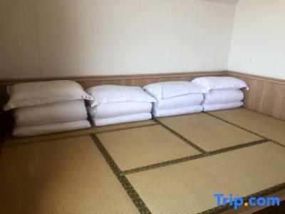 Kumamoto Green - 40