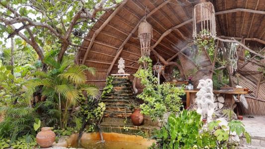 Ikal Tulum - 0