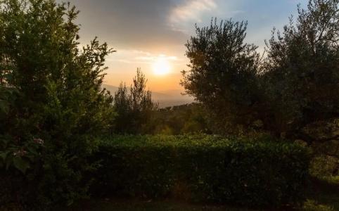 Il Poggio degli Olivi - 72