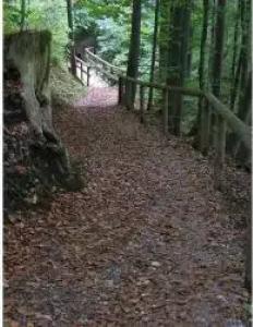 Kolbergarten - 16
