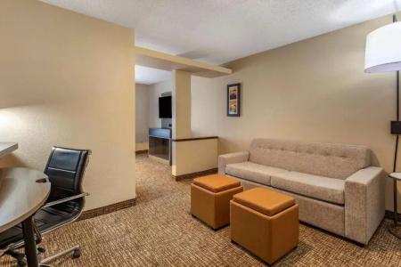 Comfort Inn & Suites North Dallas-Addison - 54