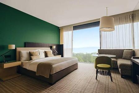 Crowne Plaza Geneva, An Ihg - 63