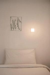 The Dearly Koh Tao Hostel-Sha Plus - 45