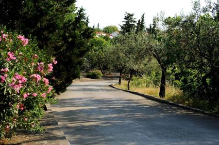 Delfinia & Bungalows - 24