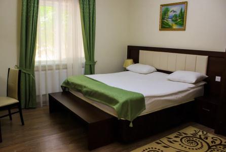 Vilesh Palace - 2