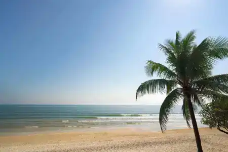 Hua Hin Star - 24