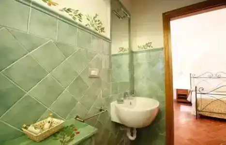 Gatto Bianco Tizzauli - 6