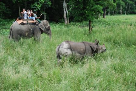 Chitwan Village - 11