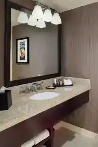Sheraton North Houston at George Bush Intercontinental - 72