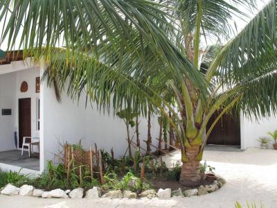 Lagoon View Maldives - 22