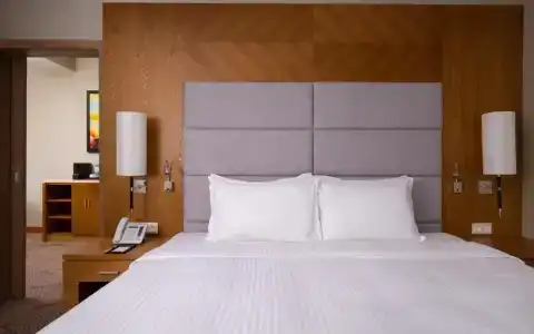 DoubleTree by Hilton Almaty - 44