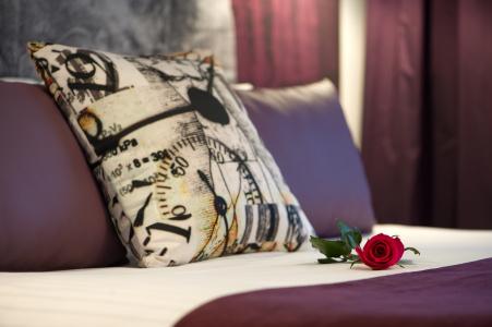 Best Western Le Vinci Loire Valley - 75
