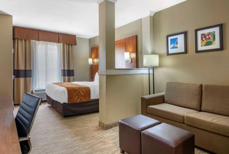 Comfort Suites - University - 62