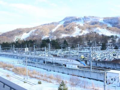 Apa Karuizawa Ekimae Karuizawaso - 19