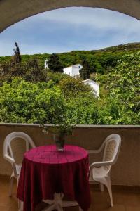 Sariza Spring - 49