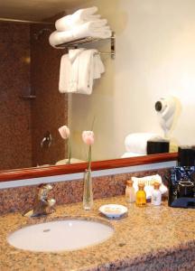 Palm Mountain & Spa - 7