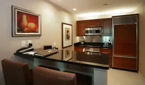 Jet Luxury at The Vdara - 11