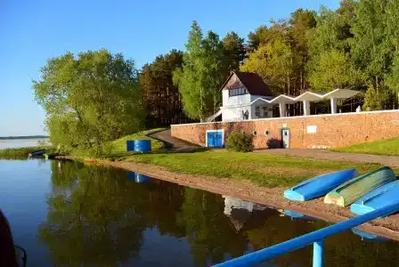 Сосны на озере Нарочь - 16