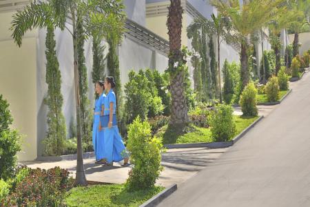 Samui Blue Orchid - Adult Only - 19