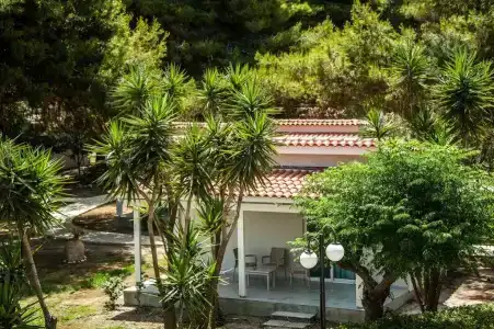 Mimoza Beach - 41