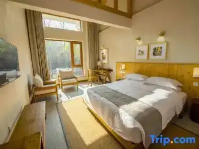 Novostar Nahrawess Thalasso and Aquapark - 107