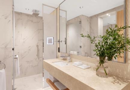 Adagio Premium The Palm - 15