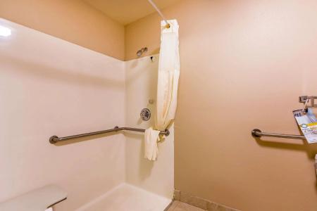 Quality Inn & Suites Chesterfield Village - 8