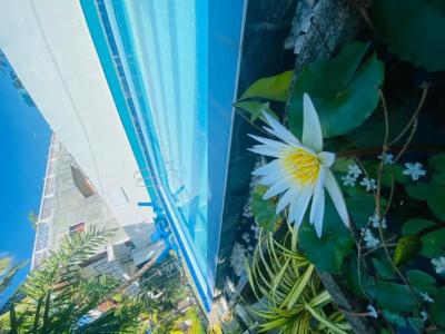 Liyanage Resort - 29