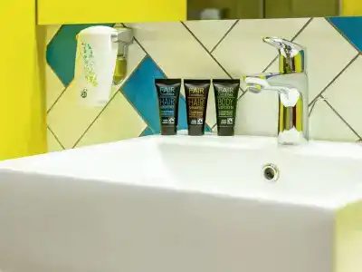 Ibis Styles Lviv Center - 10