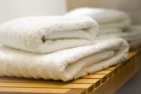 Eco Boutique Ams Beagle - 40