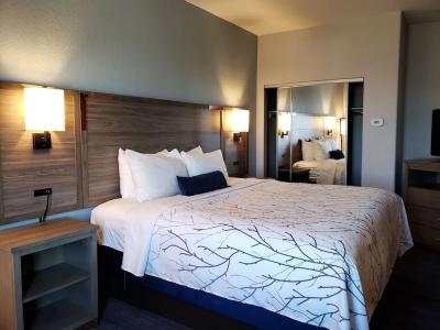 Best Western Plus San Antonio East Inn & Suites - 4