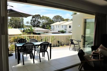 Noosa River Palms - 230
