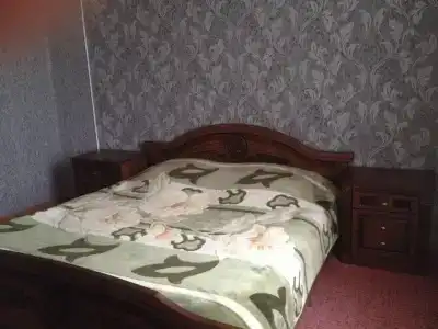 Георгина - 16