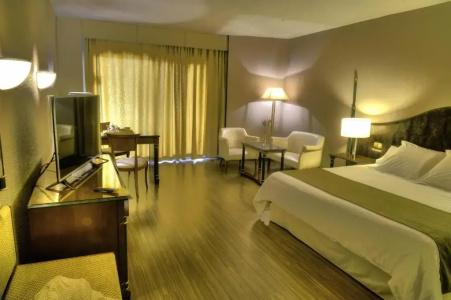 Beatriz Toledo Auditorium & Spa - 93