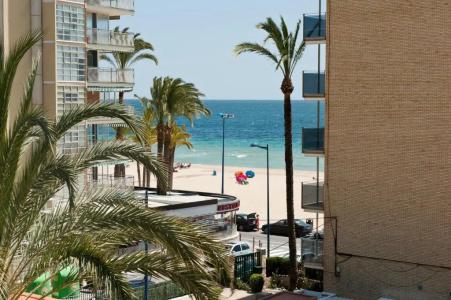 El Palmeral - 75