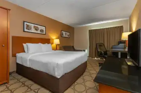 Comfort Inn - 49