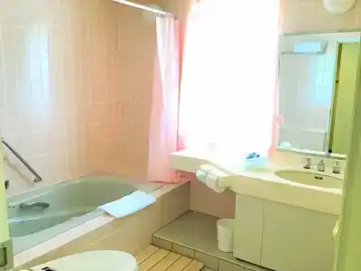Sankyo Fukushima - 8