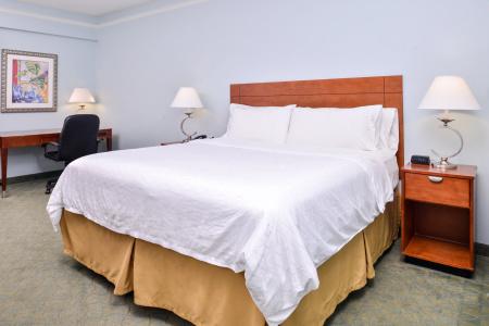 Holiday Inn Express North Telecom Park, An Ihg - 27