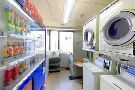 Fujinomiya Green - 49