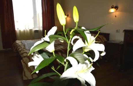 Guest House Mountain Romance & Free Sauna and Steam Bath - 64