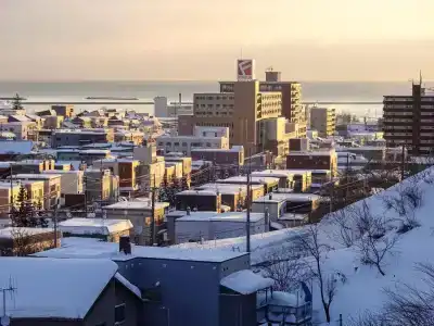 Otaru Harvest - 14