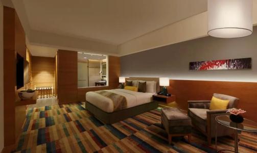 Crowne Plaza Jaipur Tonk Road, An Ihg - 47