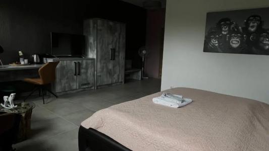 VitaLounge Sports & Spa - 44