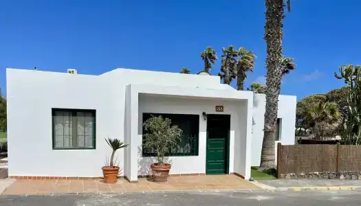 Palmeras Garden - 99