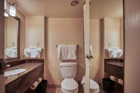 Holiday Inn Macleod Trail South - 7