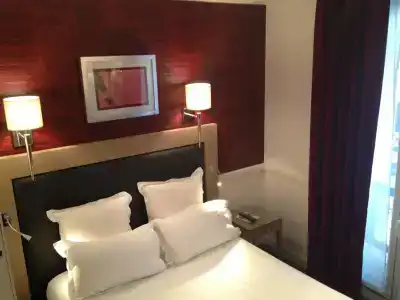 Hôtel Elysées Flaubert - 19
