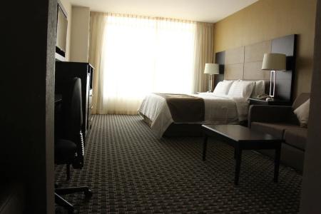 Holiday Inn Mexico Santa Fe, An Ihg - 35