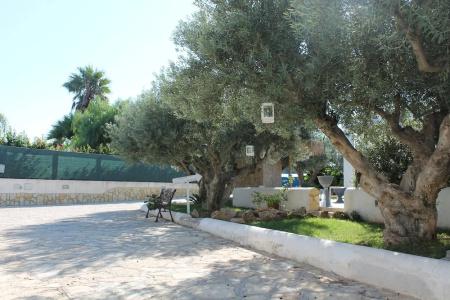 Signorino Resort - 119