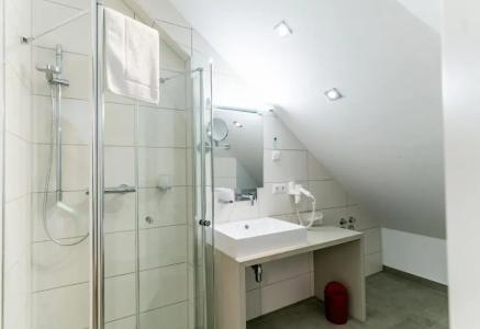 AltstadtGrauer Wolf - 47