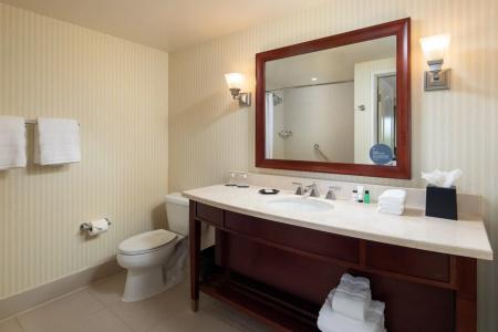 Sheraton Carlsbad Resort & Spa - 20